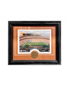 Desktop 12"x10" Frame Solid Bronze Medallion