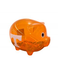 Piggy Bank - Plastic Pig