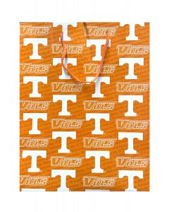 Large Gift Bags - 15.5 x 4 x 12