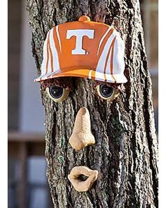 Forest Face