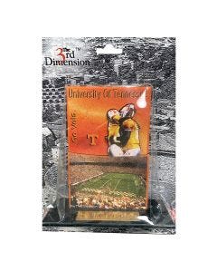 Sculpture 3-D Plaque Picture Half-Time Picture